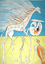 Salvador Dali, Saturnian Giraffe