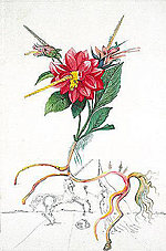 Salvador Dali, Dahlia (Dahlia unicornis)