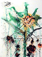 Salvador Dali, Sun Goddess Flower