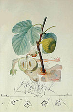 Salvador Dali, Homme Figuier (Fig)