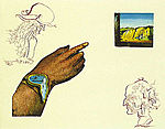 Salvador Dali, Reflection