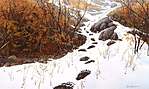 Bev Doolittle, Doubled Back