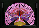 Erte, Phoenix Triumphant