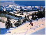 Mark King, Vail Landscape