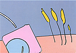 Peter Max, Light Planet