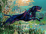 LeRoy Neiman, Black Labrador