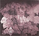 G.H. Rothe, Mindscape