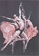 G.H. Rothe, Myth