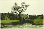 G.H. Rothe, Junction