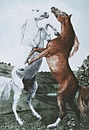 G.H. Rothe, Powerplay