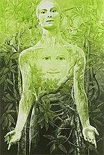 G.H. Rothe, Daphne's Transofrmation