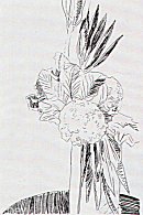 Andy Warhol, Flowers Suite, II.100-109