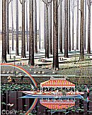 Hiro Yamagata, Rainbow