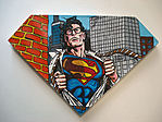 Steve Kaufman, Superman