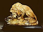Richard MacDonald, Lion Study