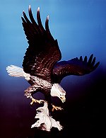 Final Approach by Mike Curtis