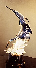 Sailfish by Mike Curtis