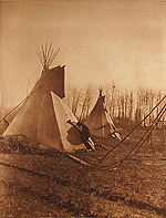 Edward S. Curtis, Plate 624 - Cree Tipis