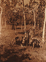 Edward S. Curtis, Plate 630 - Assiniboin Hunter