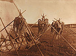 Edward S. Curtis, Plate 646 -  Sacred Bags of the  Horn Society - Blood
