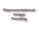 Artists Representational Image Pending